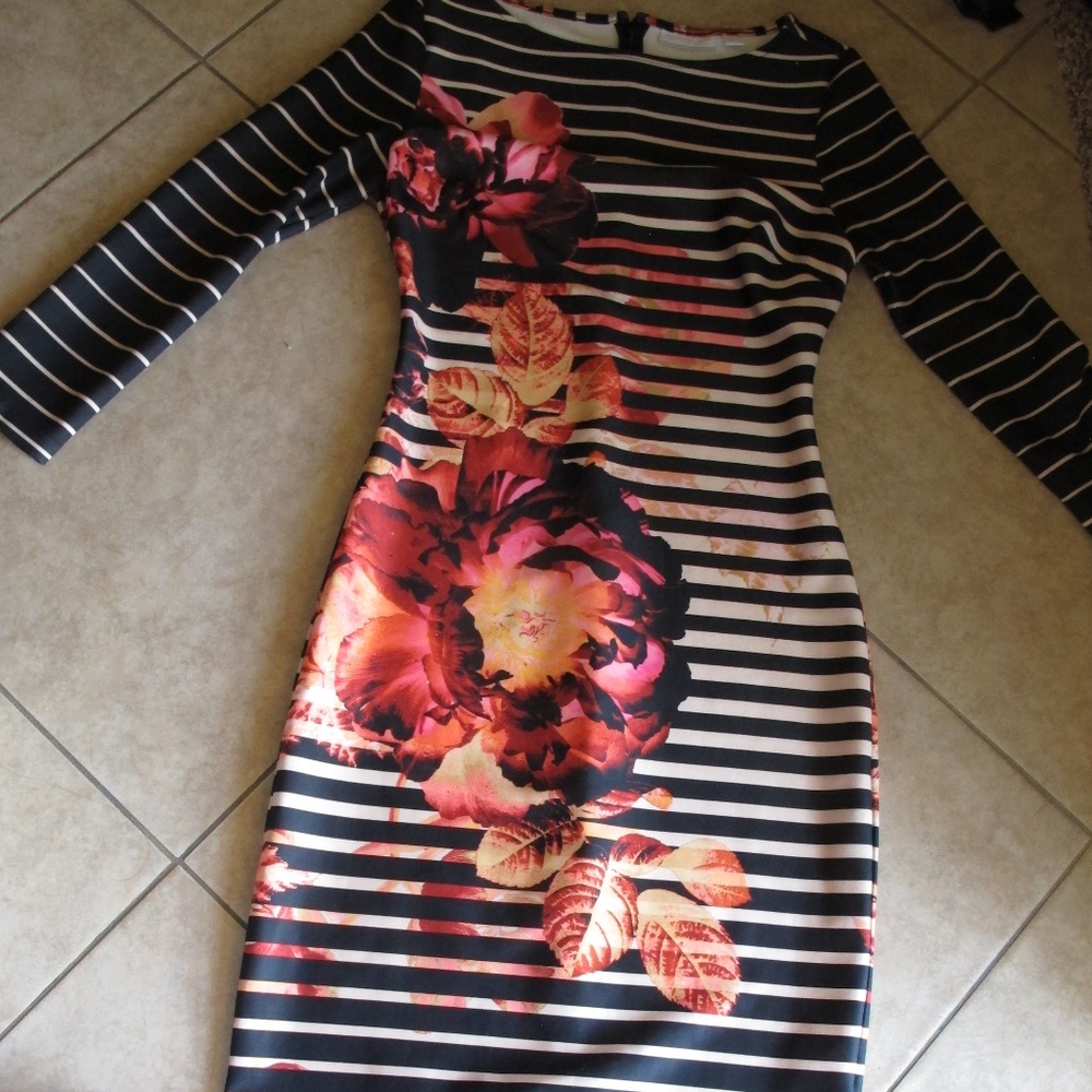 NEW YORK AND CO FLORAL STRIPE DRESS